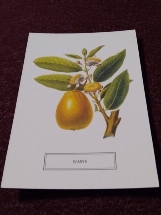 Botanical Postcard - GUAVA