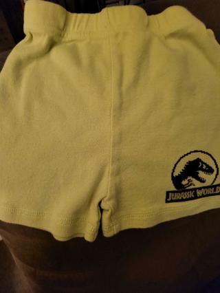 Jurassic Park shorts
