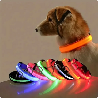 Night Safety Flashing Glow In The Dark Collar