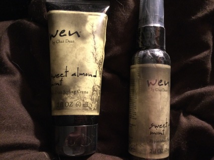 Sealed Wen Styling Crème and Replenishing Treatment 