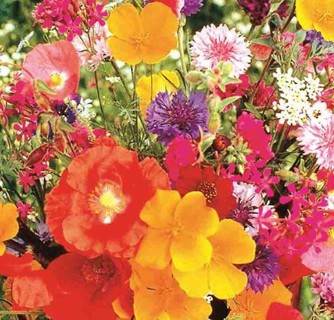 Flower Garden Mix