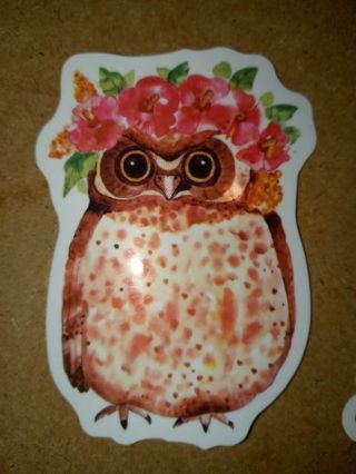 Owl Cool new nice vinyl lab top sticker no refunds regular mail high quality!