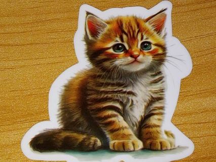 Cat Cute one new big vinyl laptop sticker no refunds regular mail only