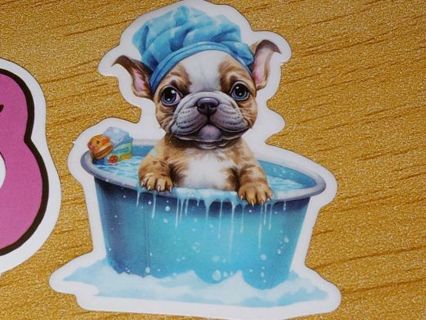 Adorable new one nice vinyl lab top sticker no refunds regular mail high quality!