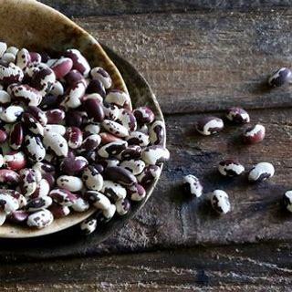 Anasazi Bean Seed Pack