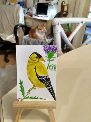 Original, Watercolor Painting 2-1/2"X 3/1/2" American Goldfinch Bird by Artist Marykay Bond
