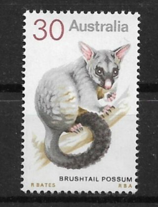 1974 Australia Sc568 30¢ Brush Tailed Possum MNH