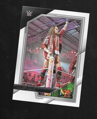 2022 TOPPS WWE JAMES DRAKE #57