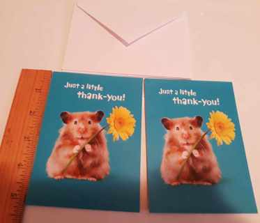 2 Mouse Thank You Notecards (with Envelopes)