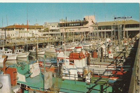 Vintage Unused Postcard: s: Fisherman's Wharf, San Francisco, CA