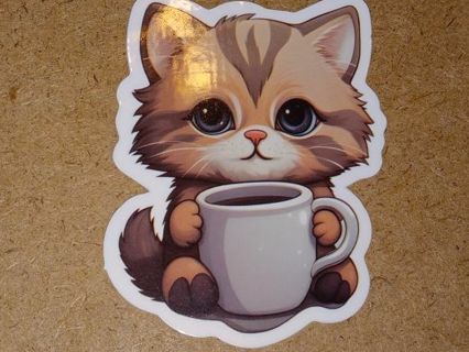 Cat Adorable one new vinyl sticker no refunds regular mail very nice quality