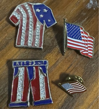 American Pride pins