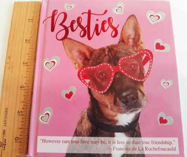 "Besties" gift book