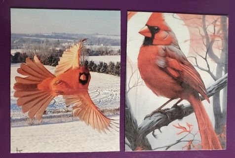 Pretty Cardinal Magnets