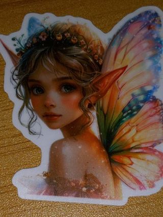 Beautiful one big self adhesive vinyl sticker no refunds regular mail only Very nice quality!