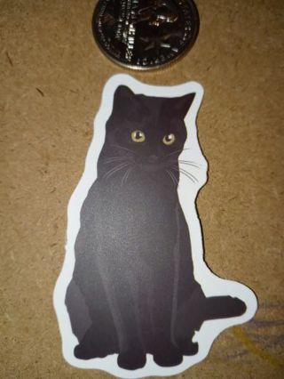 Cat Cute new vinyl sticker no refunds regular mail only Very nice these are all nice