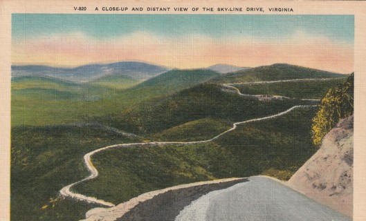 Vintage Used Postcard: z gin: 1955 Skyline Drive, VA