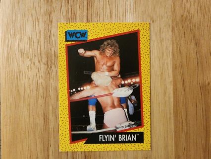 WCW FLYIN BRIAN #61