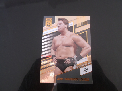 wwe  2022 Panini Chronicles   elite   John Bradshaw Layfield   Bronze  card   #  247