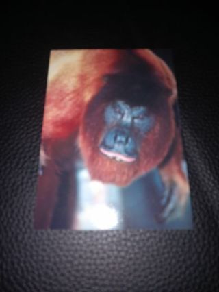 1993 San Diego Zoo CARD