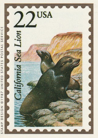 Vintage Wildlife America Collector/Trade Card: California Seal Lion