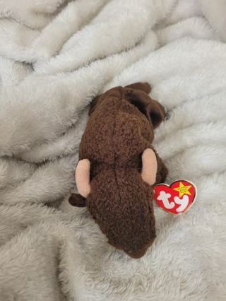 ROAM BUFFALO BEANIE BABY VERY GOOD CONDITION