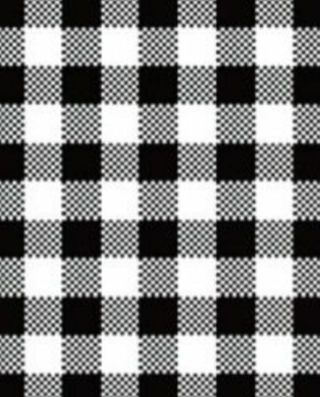 ⭐SPECIAL⭐(2) Gingham Plaid 6 x 9" Poly Mailers