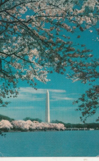 Vintage Used Postcard: B: 1963 Washington Monument, DC