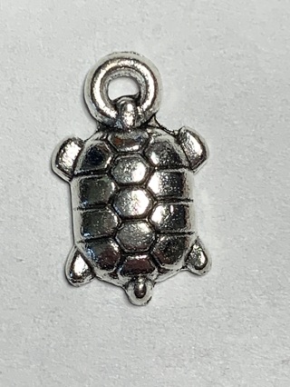 SILVER CHARM~#80~MISCELLANEOUS~1 CHARM ONLY~FREE SHIPPING!