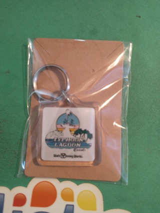 typhoon lagoon key chain free shipping