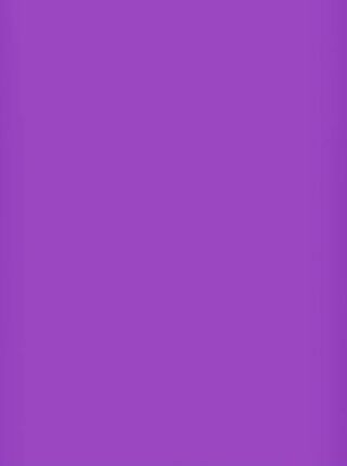➡️⭕(2) Dark Purple 6x9" Poly Mailers⭕