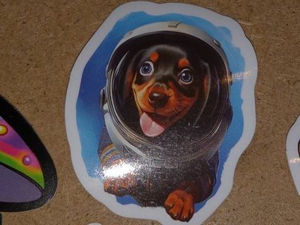 Adorable one small vinyl sticker no refunds regular mail only Very nice quality!