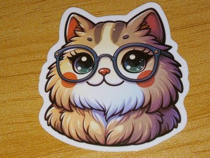 Cat Cute one nice vinyl sticker no refunds regular mail Win 2 or more get bonus