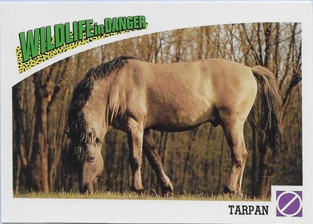 1992 Panini Wildlife in Danger #88 Tarpan