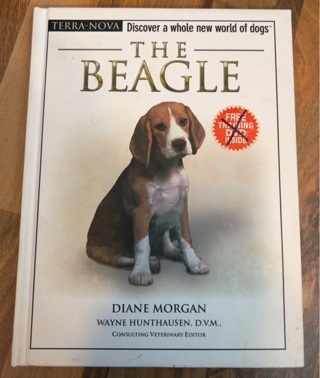 The Beagle 