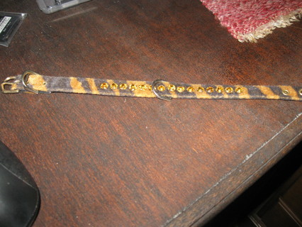 Tiger Stripped Dog Collar