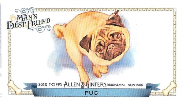  2012 Topps Allen and Ginter Mini Man's Best Friend #MBF14 Pug