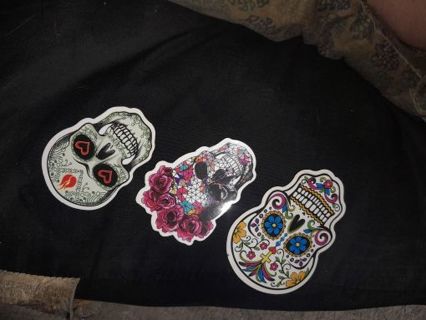 Skullcandy stickers