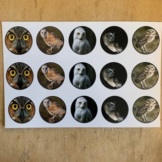 Owls Bottle Cap Image Sheet 