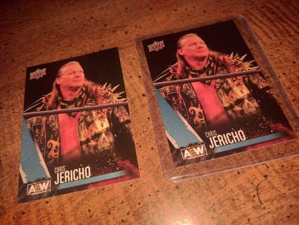 Two card lot aew veteran Chris Jericho