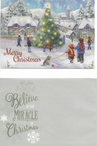 Brand New Christmas Card with Matching Envelope 