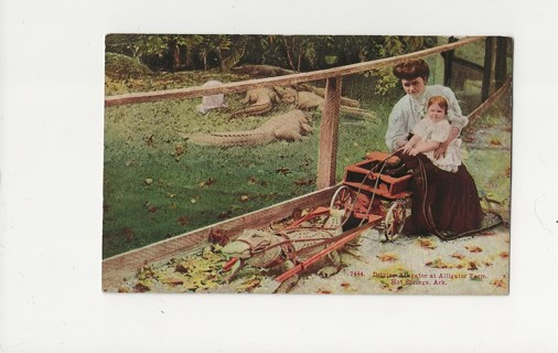 1911 Alligator Farm Postcard ARK.