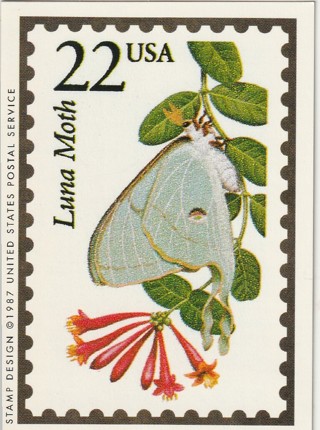 Vintage Wildlife America Collector/Trade Card: Luna Moth