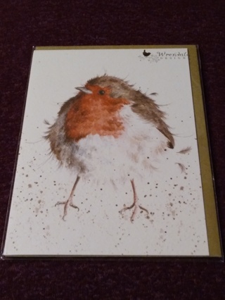Greeting Card - The Jolly Robin