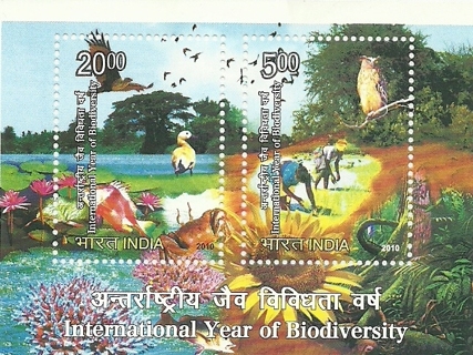 Multicolored M.S. depicting Bio-Diversity of India ##*(Issued in 2010)