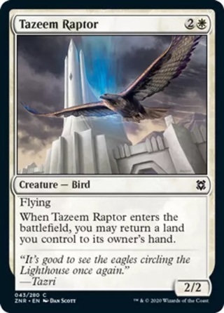  Tazeem Raptor MTG Zendikar Rising NM Magic Regular