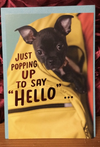 Black Puppy Friendship Card
