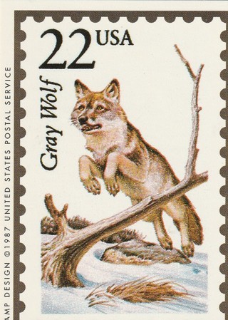 Vintage Wildlife America Collector/Trade Card: Gray Wolf