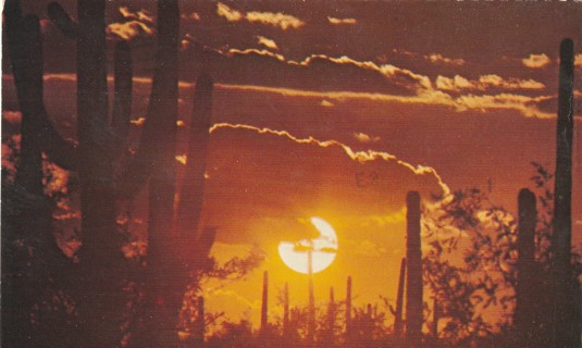 Vintage Used Postcard: d: 1978 Sundown on the Desert