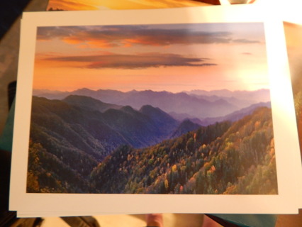 AMERICAN LANDSCAPE Postcard~~NEW! 